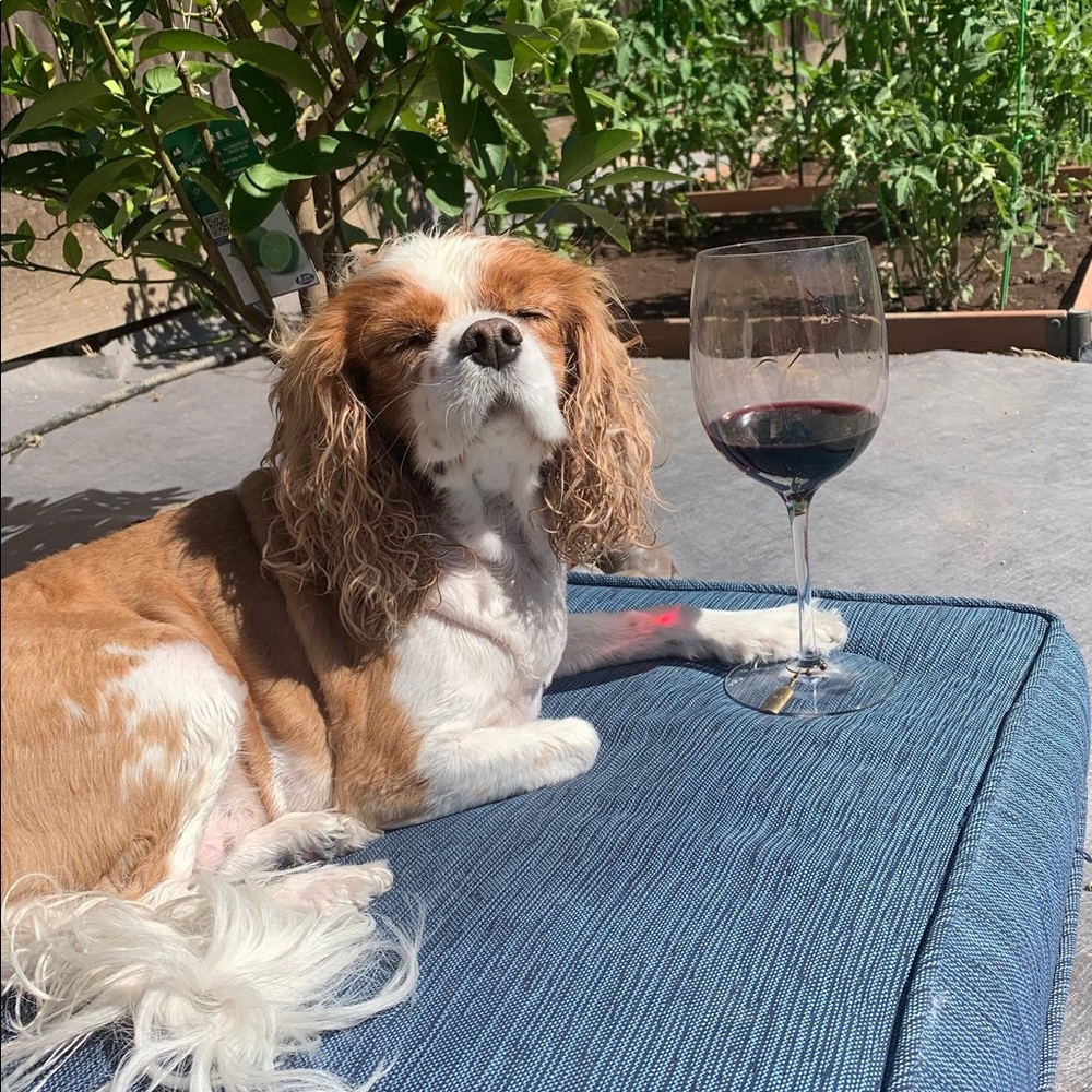 💕WELCOME! 💕 - Picture 2 of 6